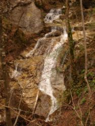 2014-04-12_Kochel-WFall_Kraeuter (198).JPG